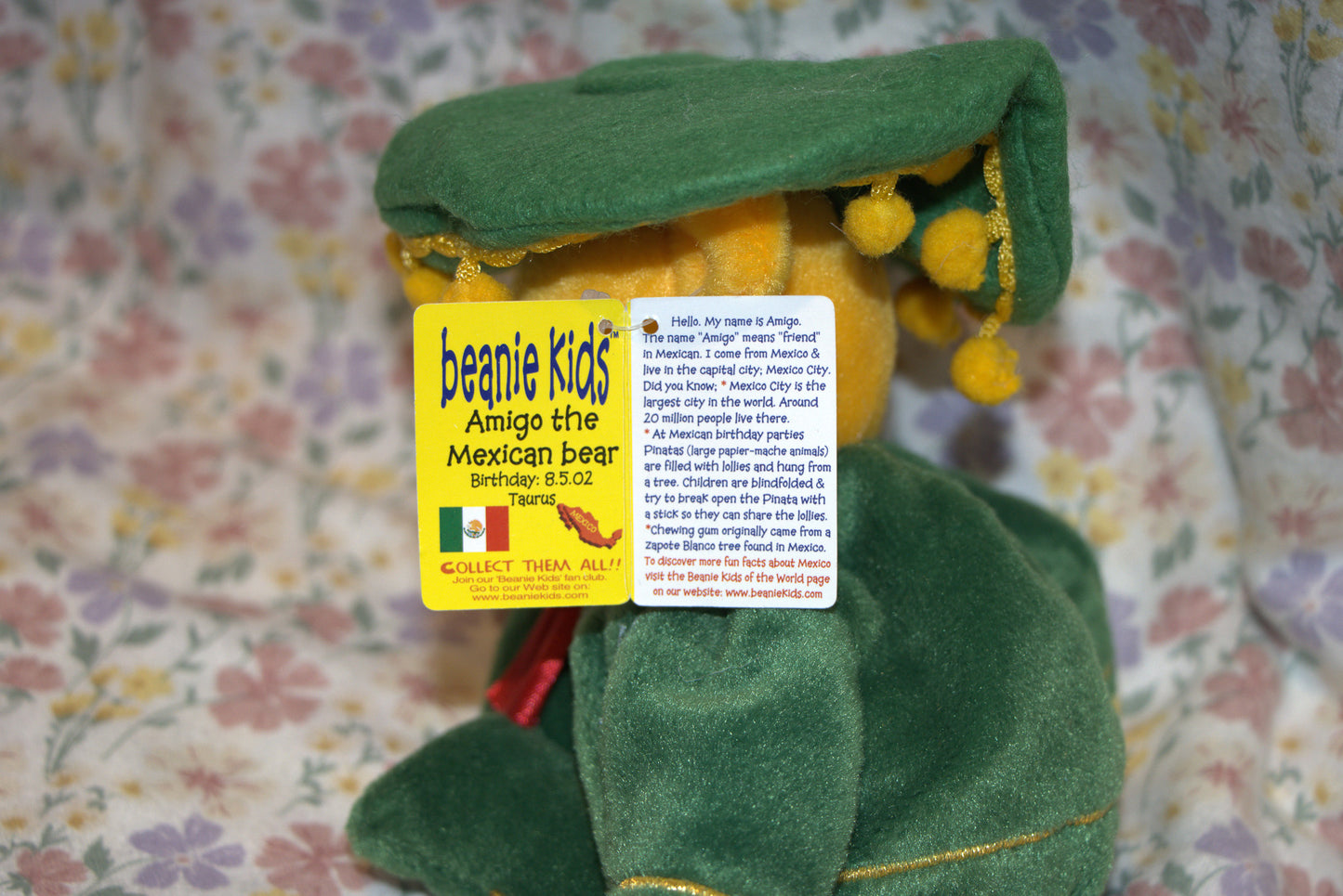 Amigo the Mexican Bear Beanie Kid