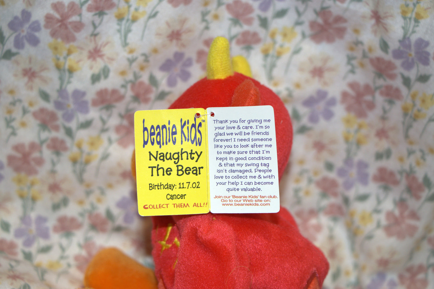 Naughty the Bear Beanie Kid 11th July 2002 Cancer