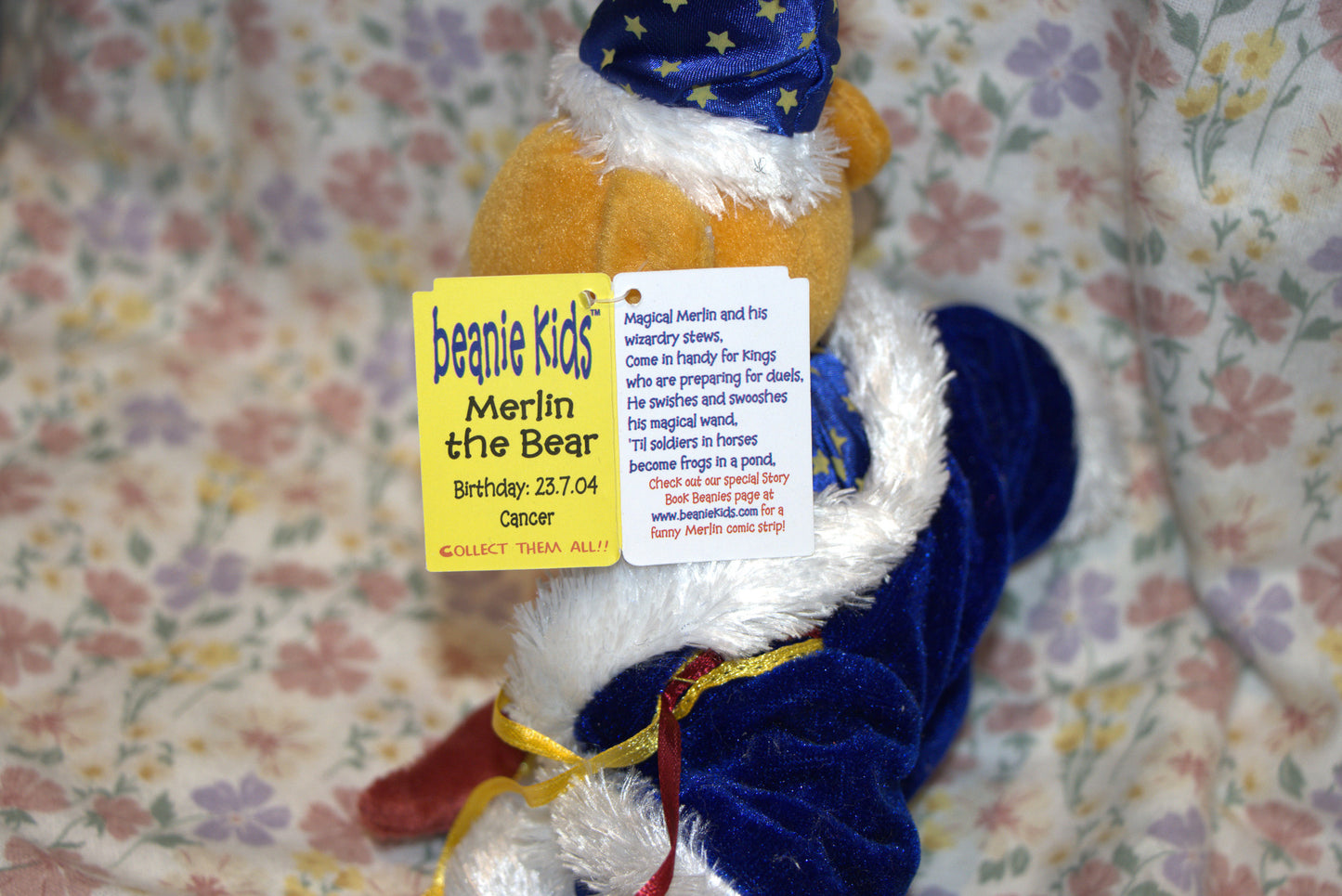 Merlin the Bear Beanie Kid 23rd July 2004 Cancer