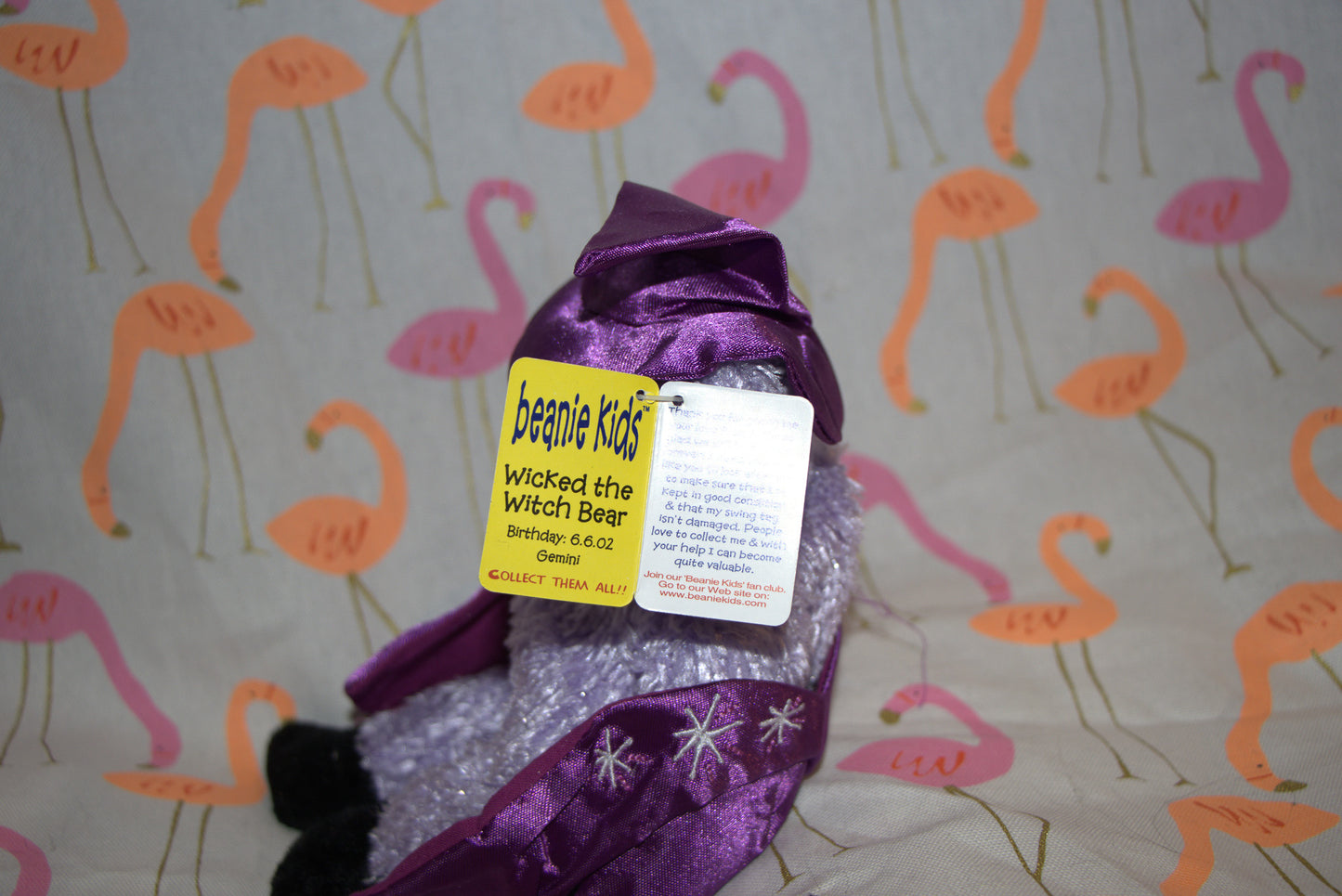 Wicked the Witch Bear Beanie Kid 6th June 2002 Gemini