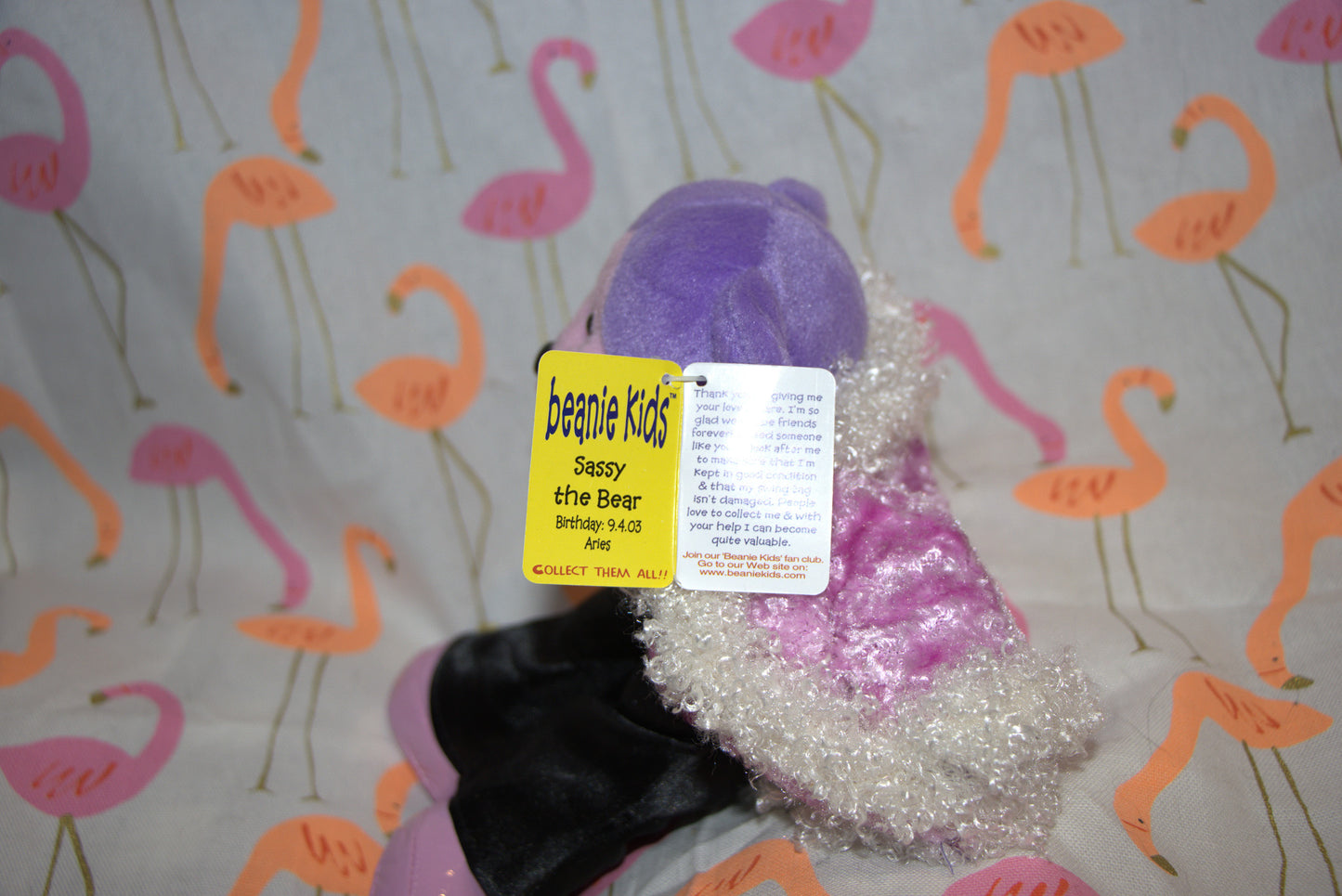 Sassy the Bear Beanie Kid 9th April 2003 Aries