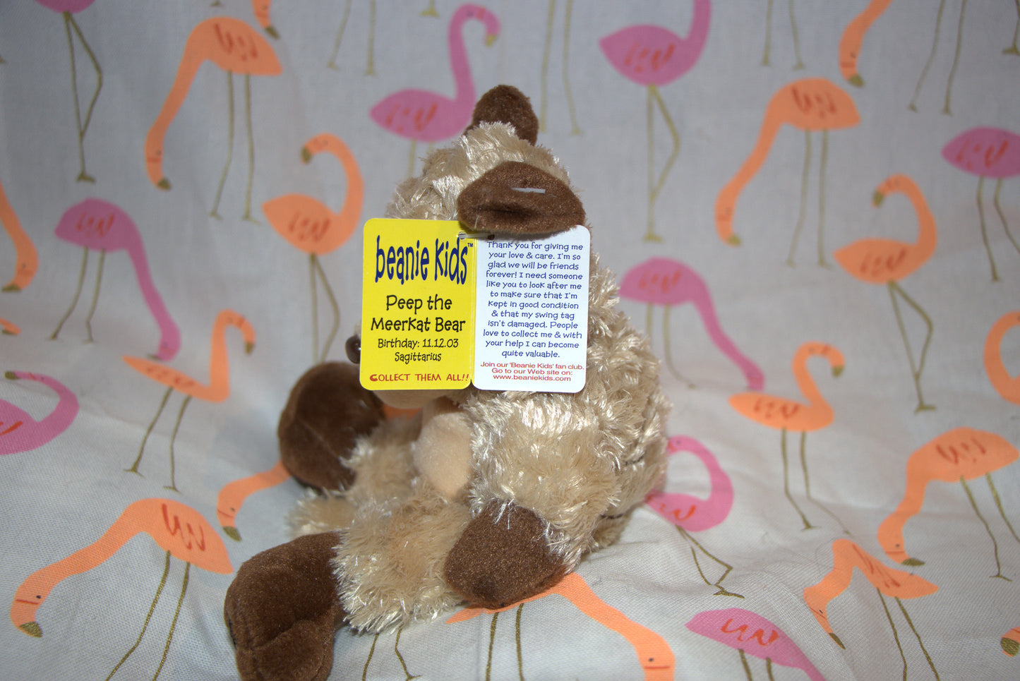 Peep the Meerkat Bear Beanie Kid 11th December 2003 Sagittarius