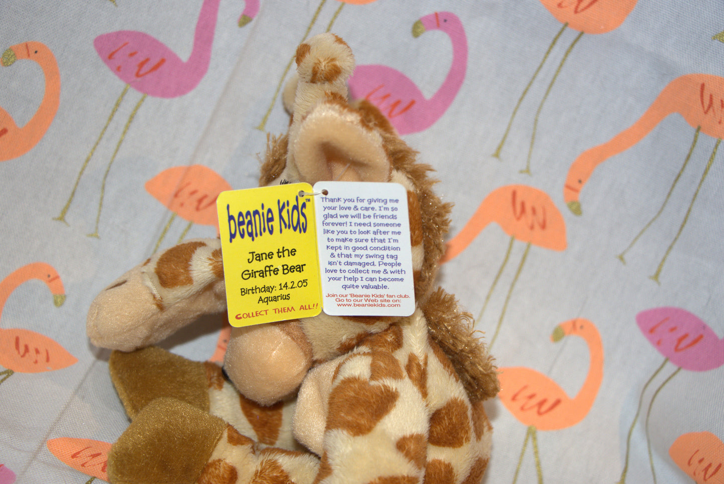 Jane the Giraffe Bear Beanie Kid 14th February 2005 Aquarius