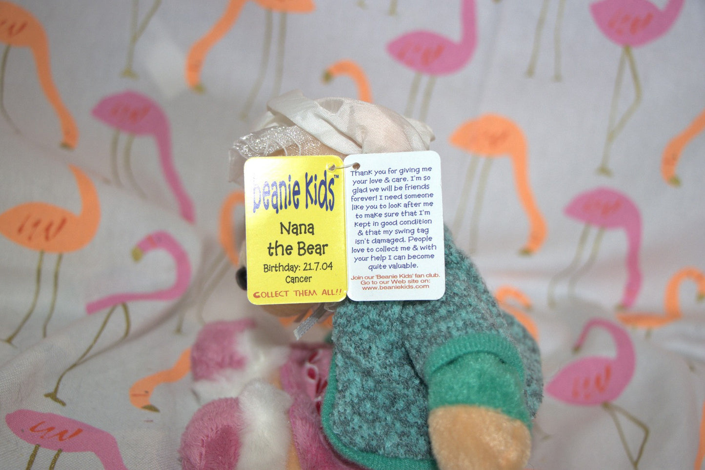 Nana the Bear Beanie Kid 21st July 2004 Cancer