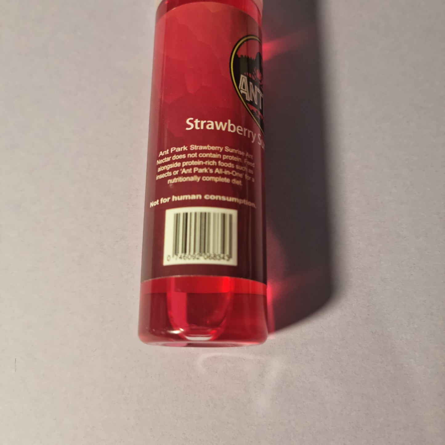 Ant Park Strawberry Sunrise Ant Nectar