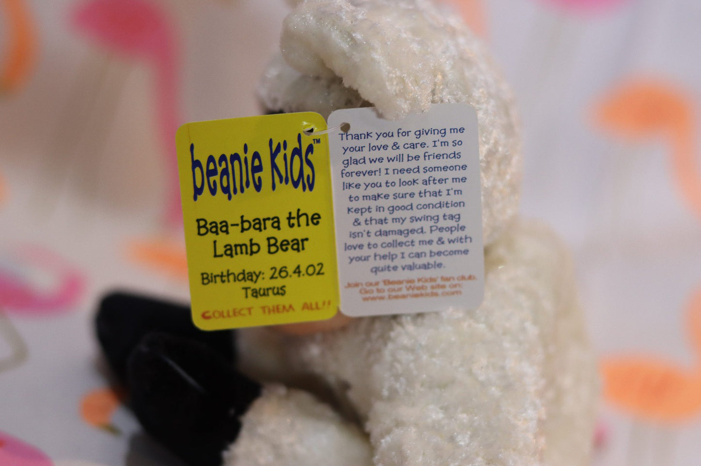 Baa-Bara the Lamb Bear Beanie Kid