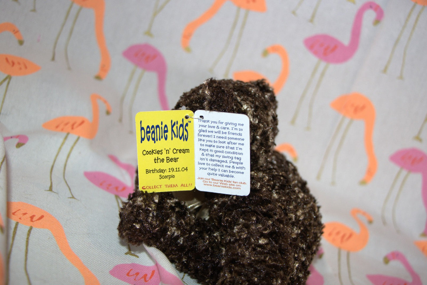 Cookies'n'Cream Bear Beanie Kid 19th November 2004 Scorpio