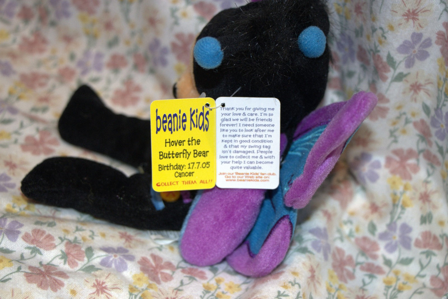 Hover the Butterfly Bear Beanie Kid 17th July 2005 Cancer Premier Exclusive