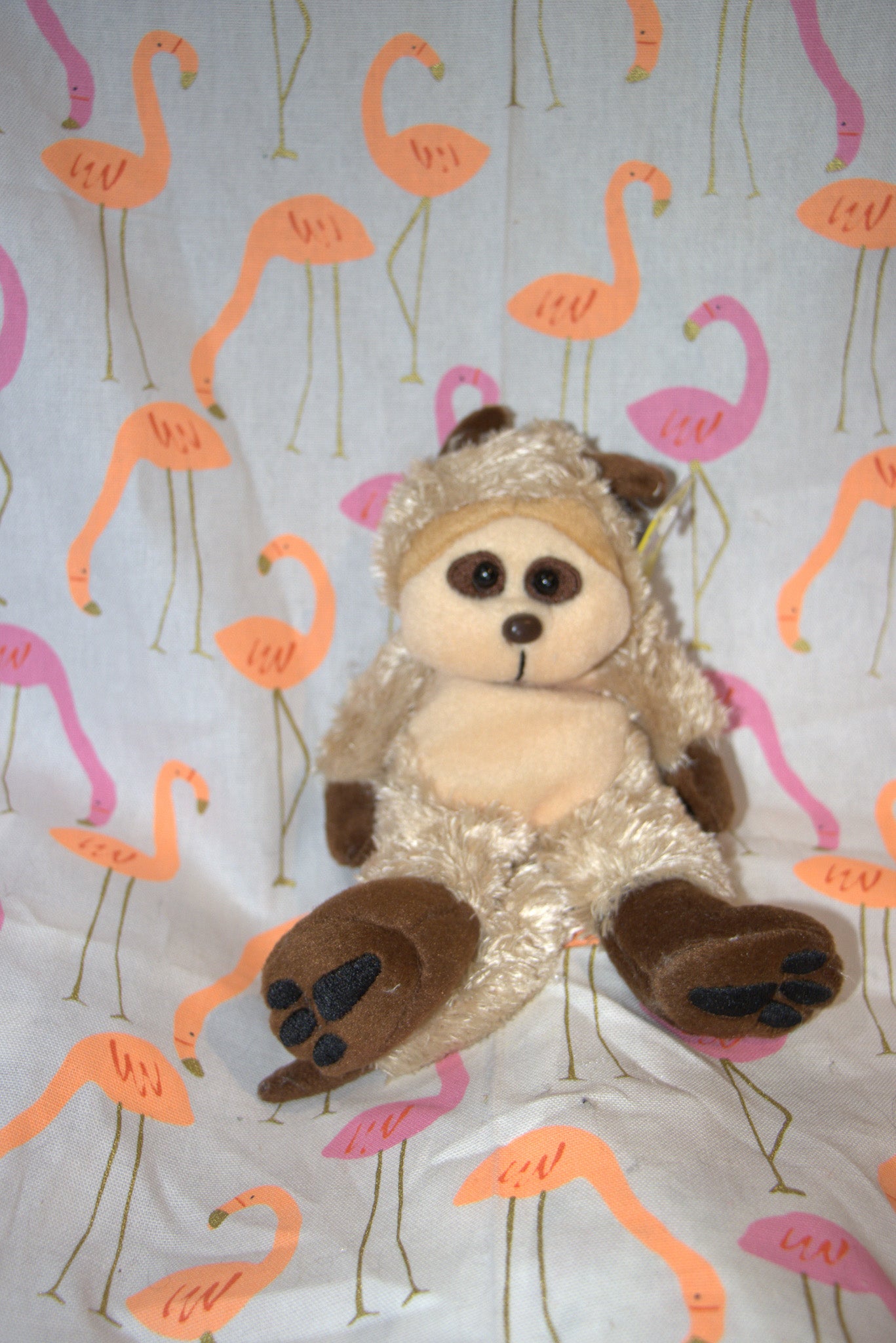 Peep the Meerkat Bear Beanie Kid 11th December 2003 Sagittarius