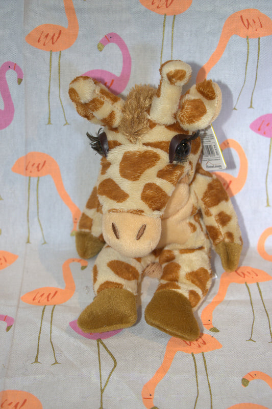 Jane the Giraffe Bear Beanie Kid 14th February 2005 Aquarius