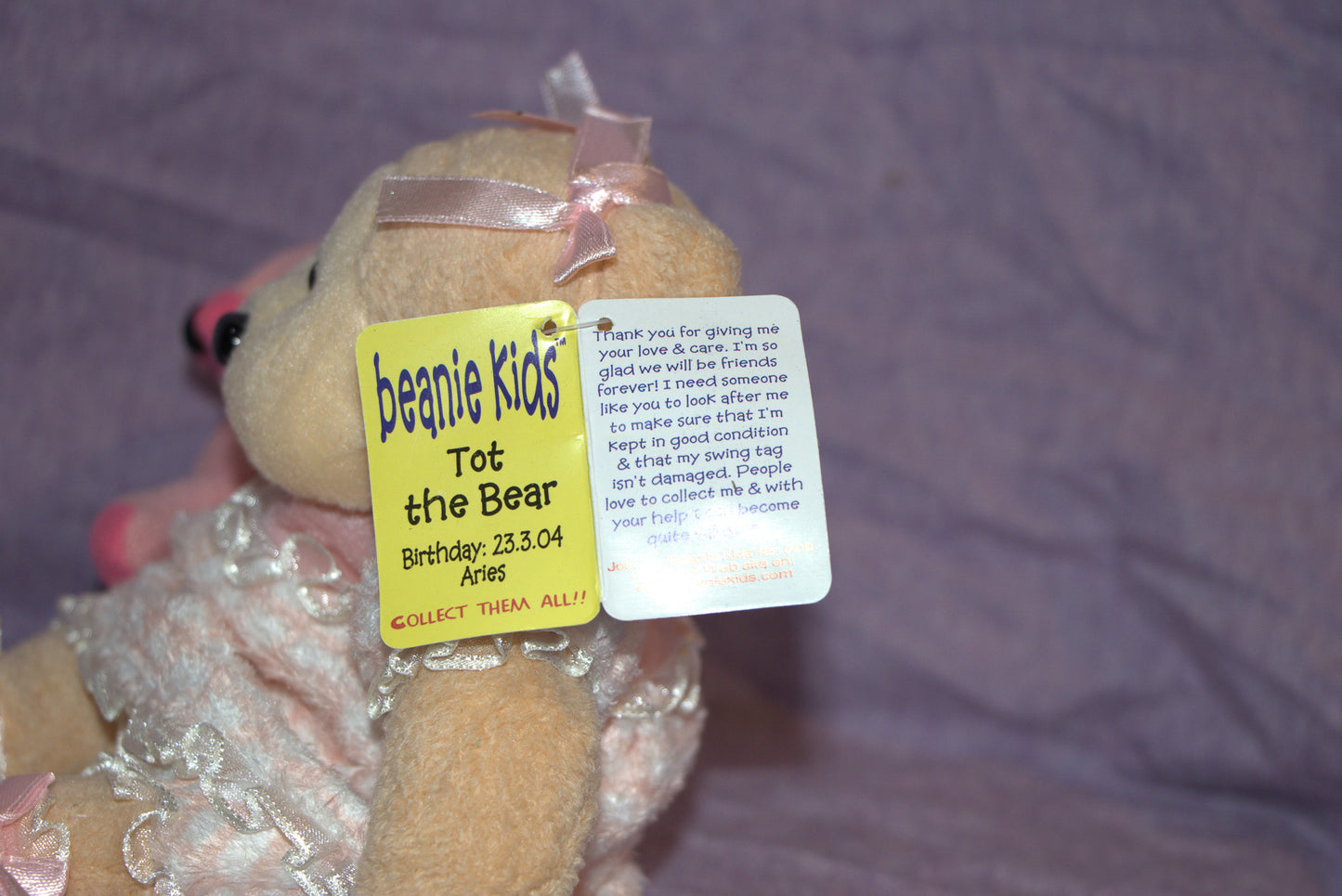 Tot the Bear Beanie Kid 23rd October 2004 Aries