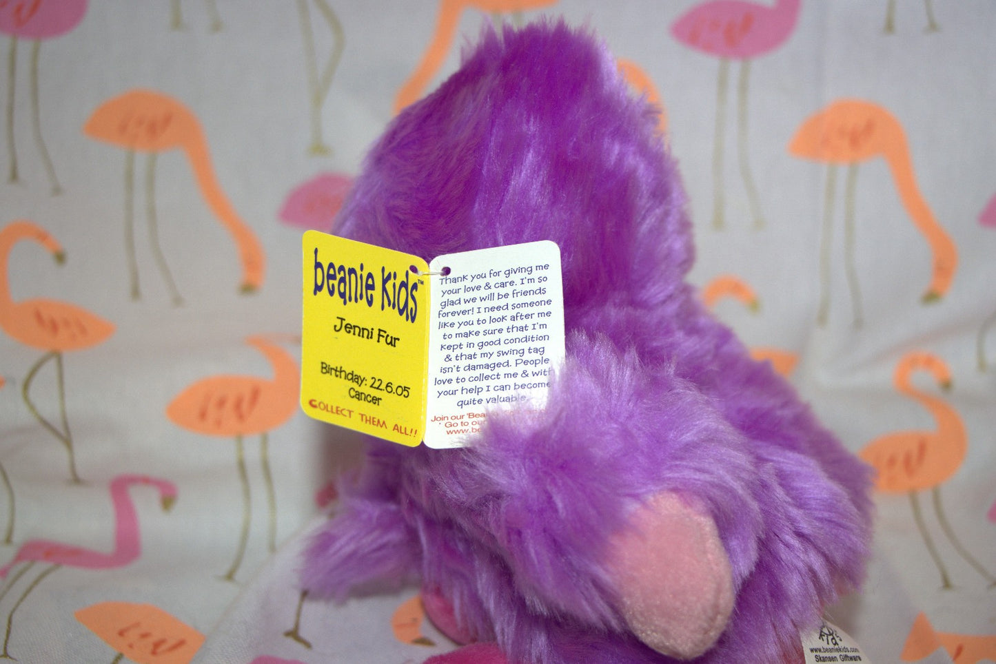 Jenni Fur the Bear Beanie Kid 22nd June 2005 Cancer