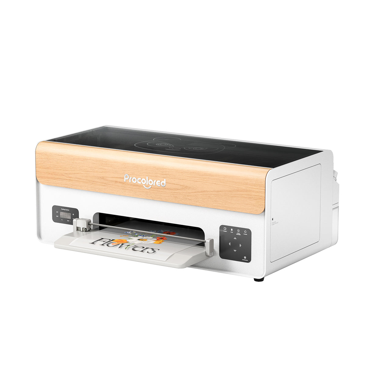 P13 Panda DTF Printer A3 XP600 by Procolored