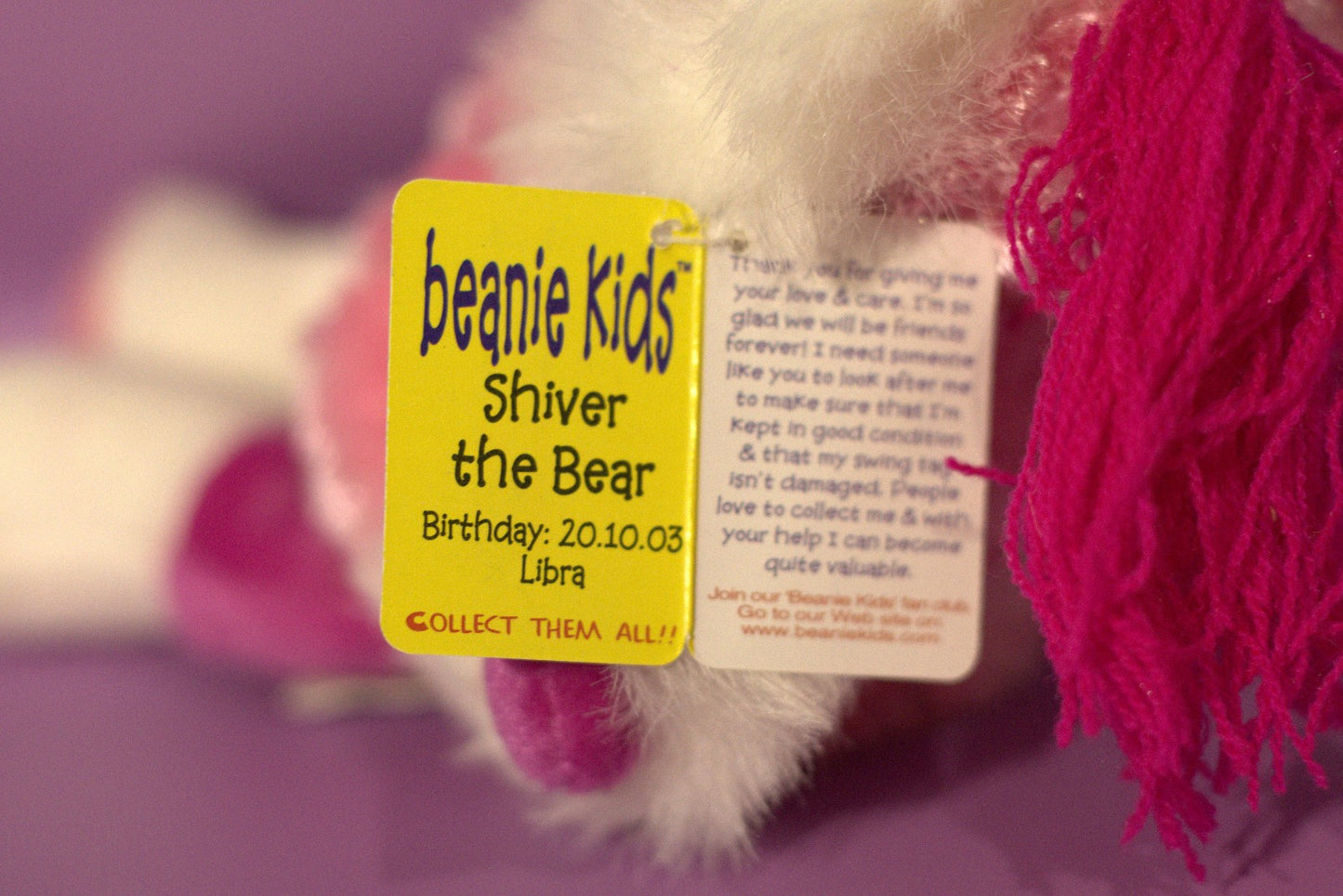 Shiver the Bear Beanie Kid 20th October 2003 Libra