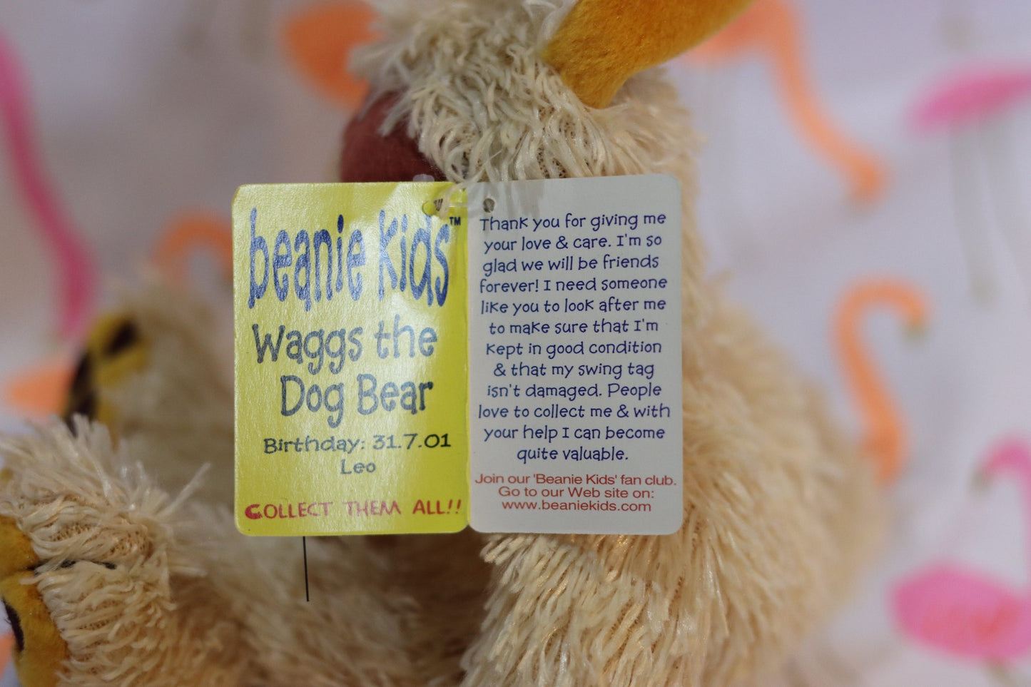 Waggs the Dog Bear Beanie Kid 31st July 2001 Leo