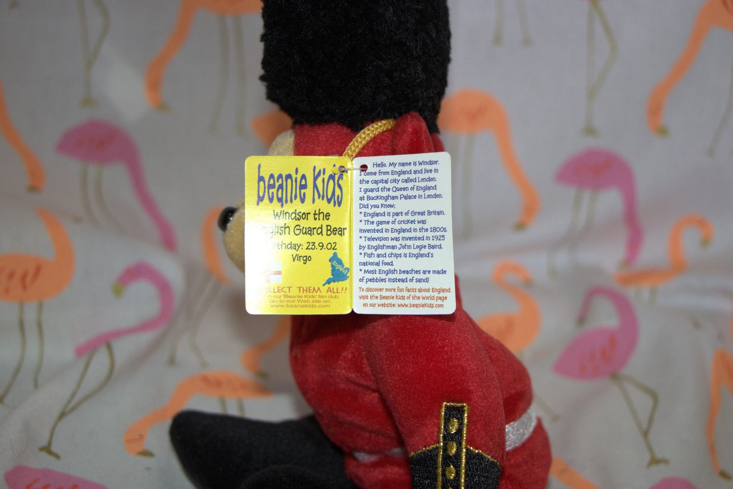 Windsor the English Guard Bear 23rd September 2002 Virgo