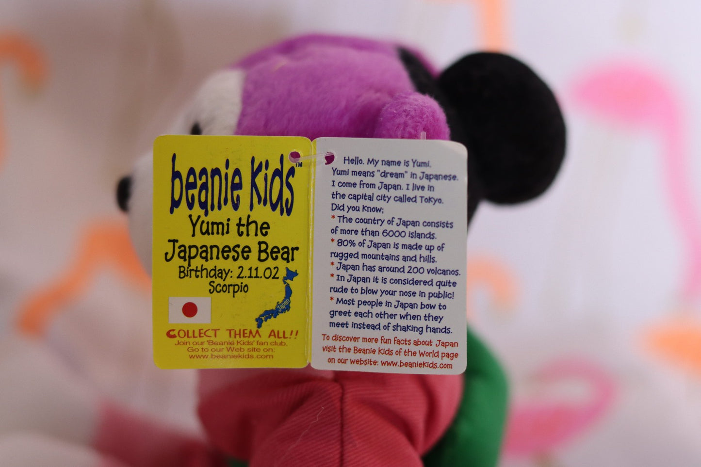 Yumi the Japanese Bear 2nd November 2002 Scorpio